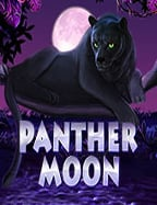 เดิมพันฟรี เว็บบอลแจกเครดิตฟรีล่าสุด สุดยอดโอกาสทำเงิน